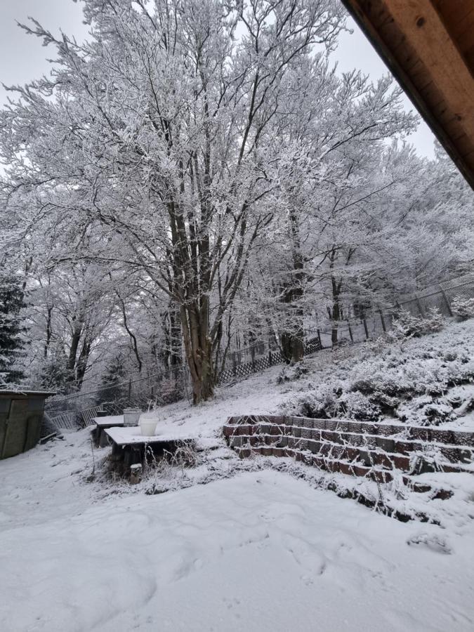 Ferienwohnung Schneeberg Stryck Екстериор снимка